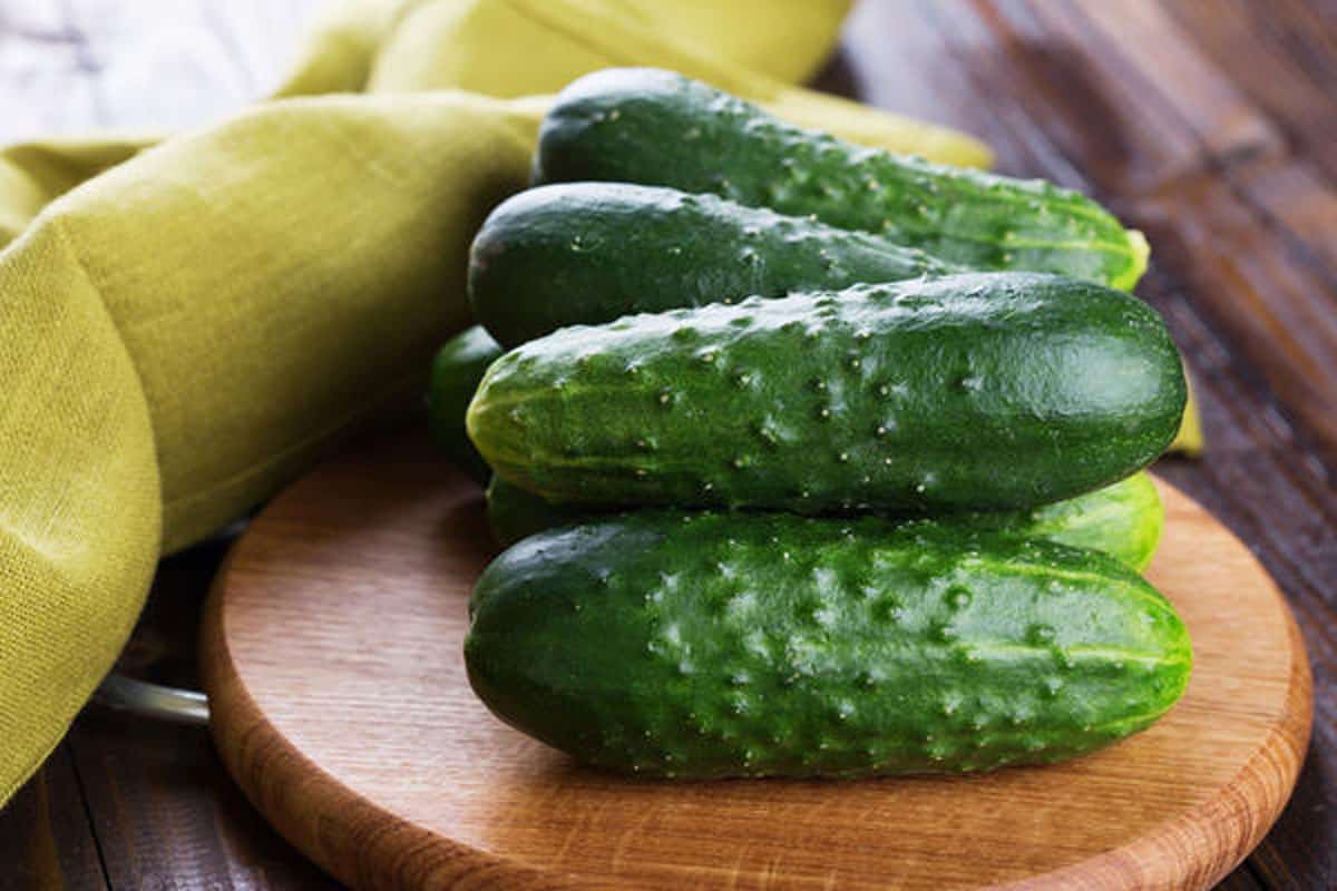 mini cucumbers costco