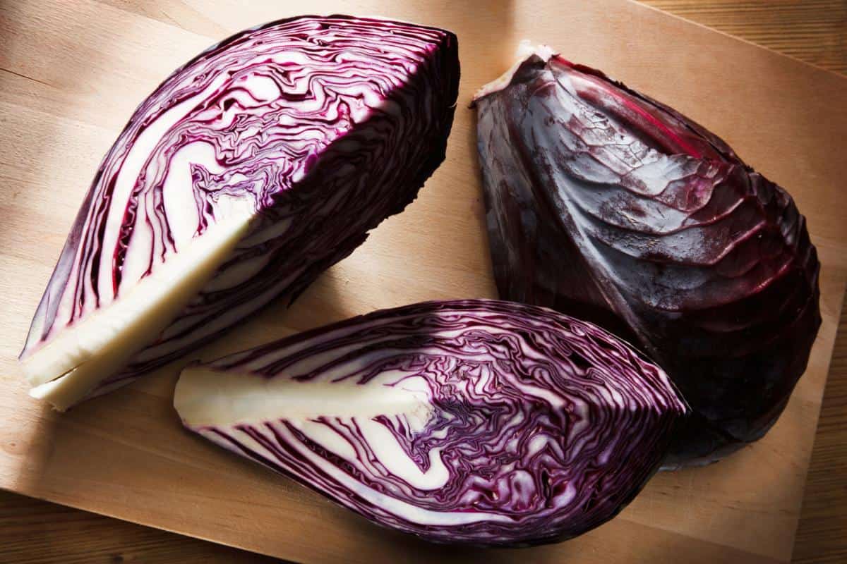 red cabbage nutrition