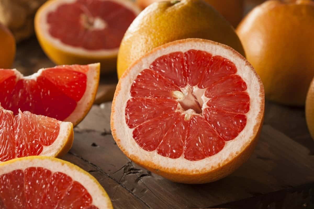 rio red grapefruit