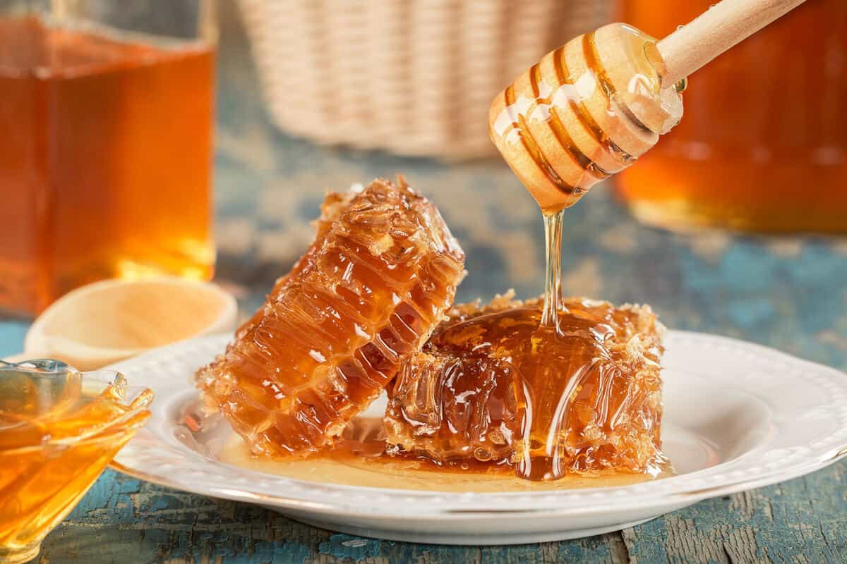 iranian honey bee