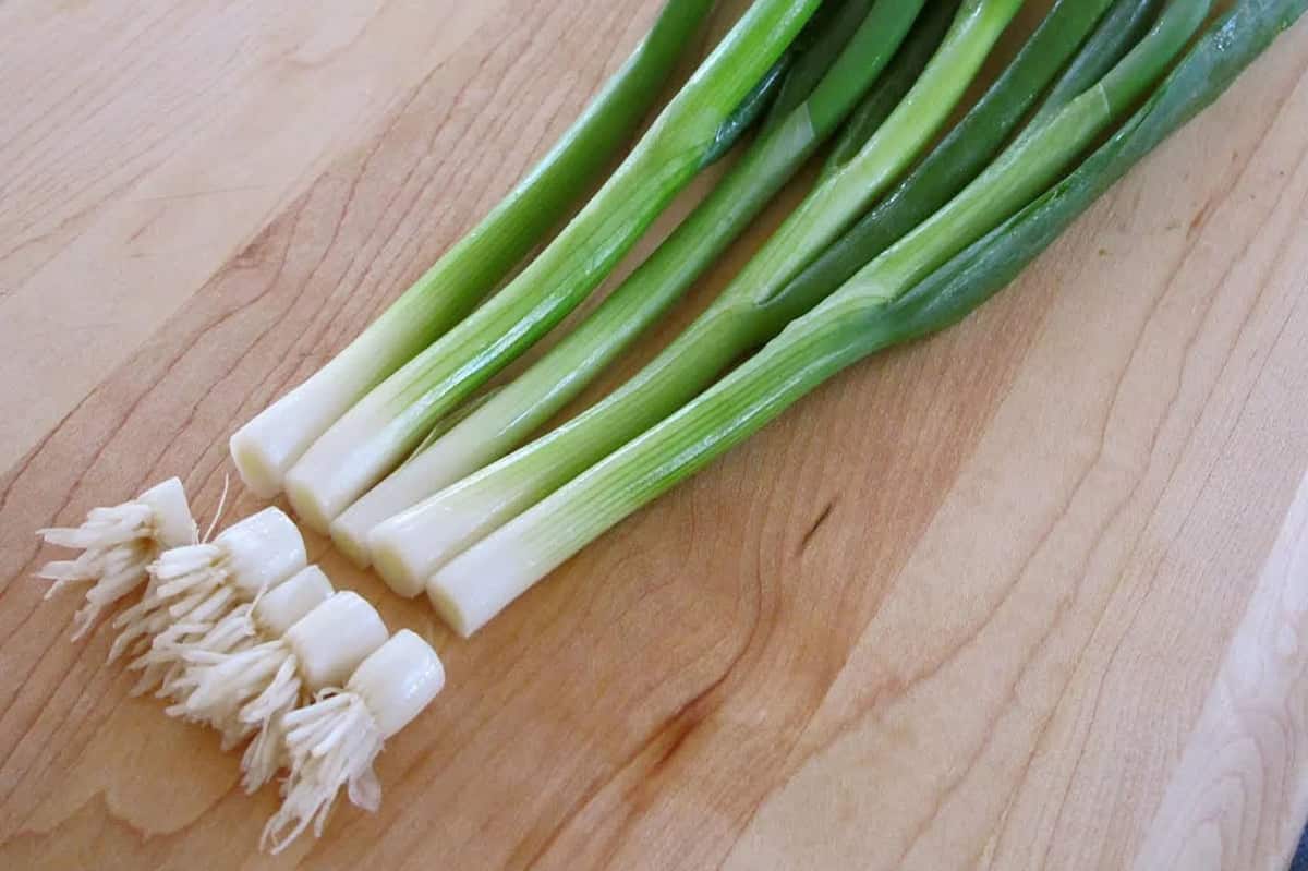 green onion vs scallion