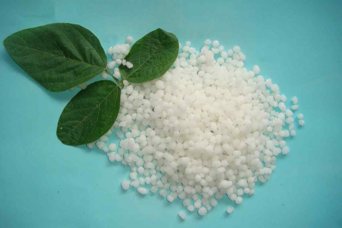 calcium nitrate fertilizer