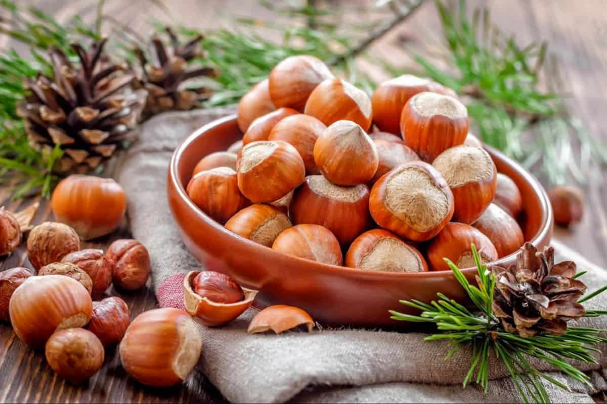 shelled hazelnuts