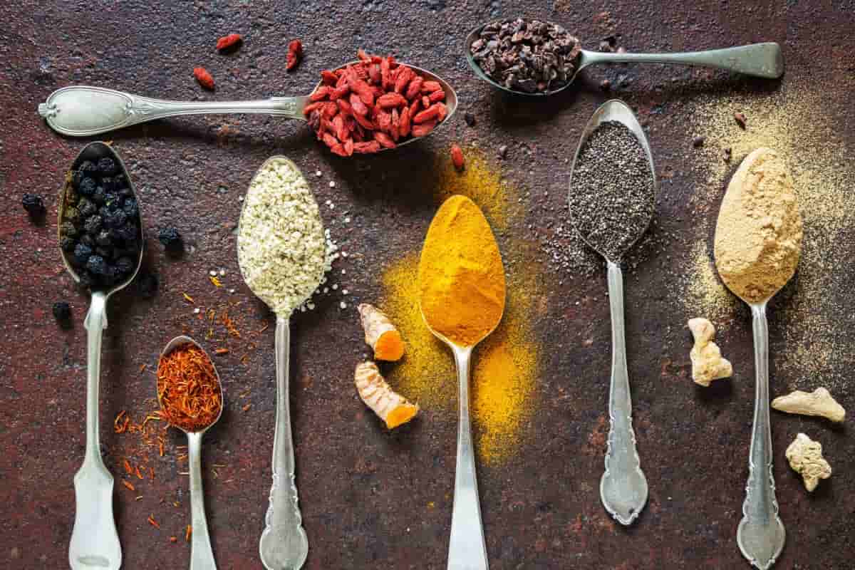 common indian spices