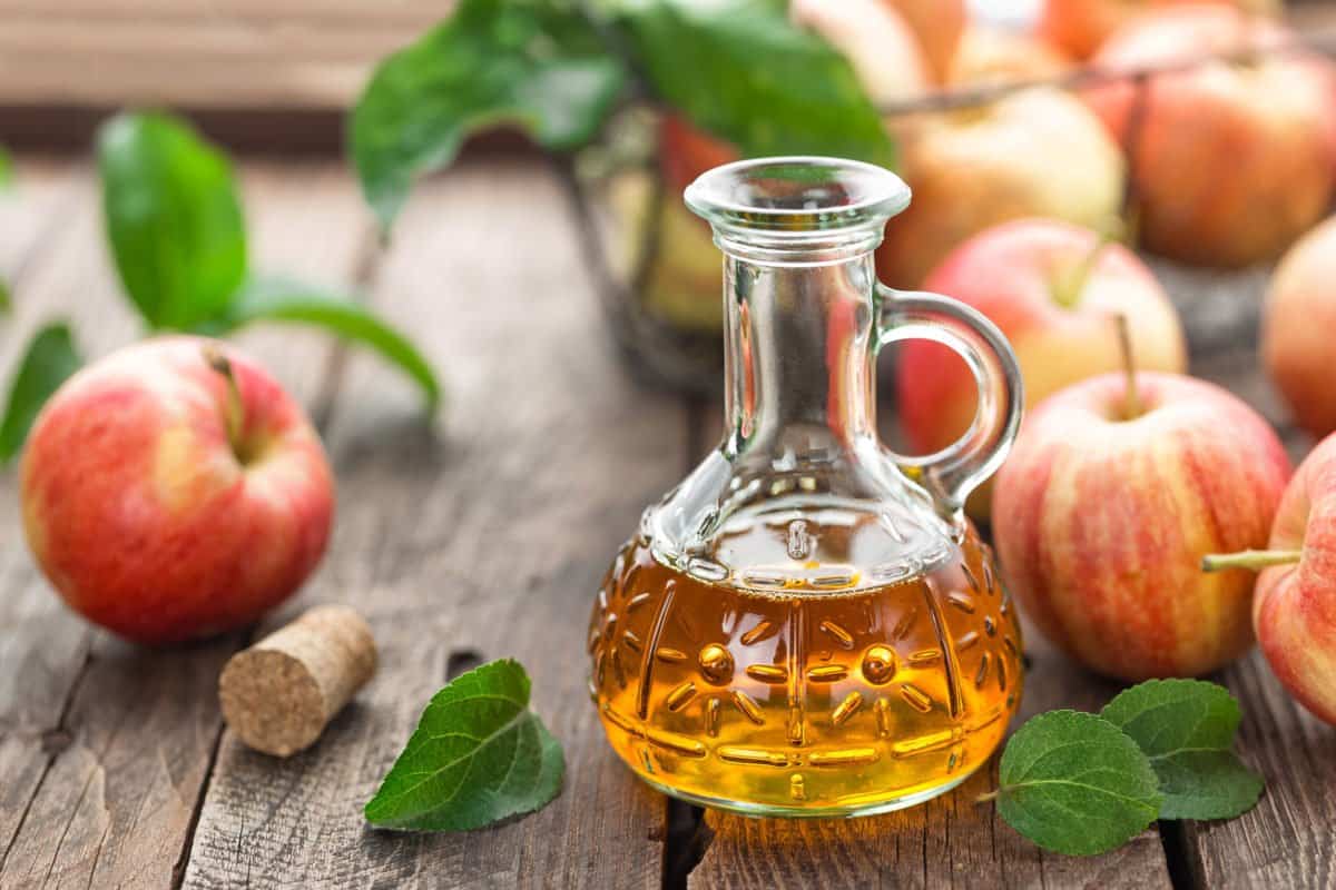edible apple vinegar