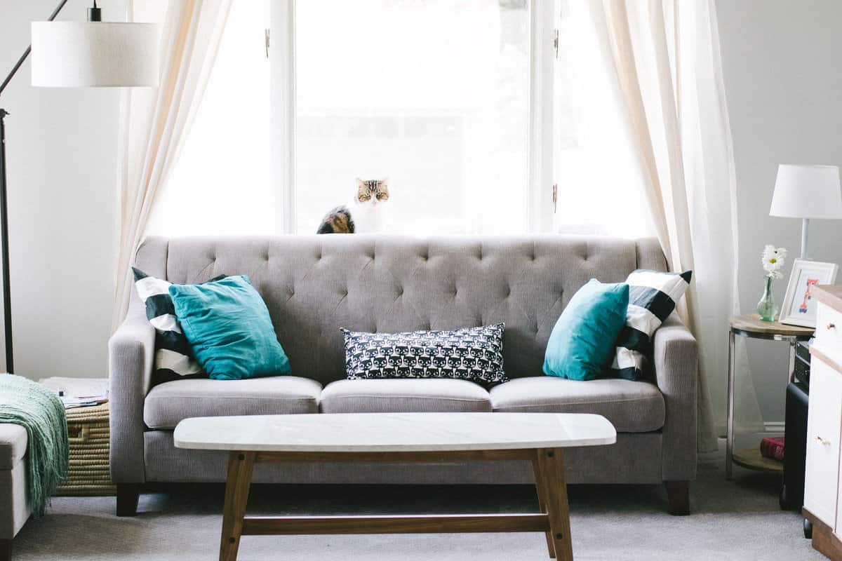 single sofa velvet