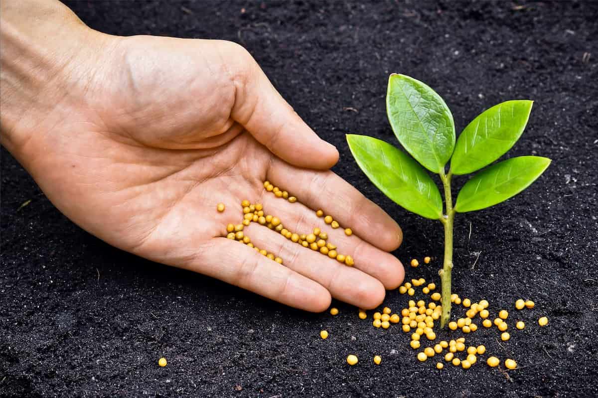 boron fertilizer benefits