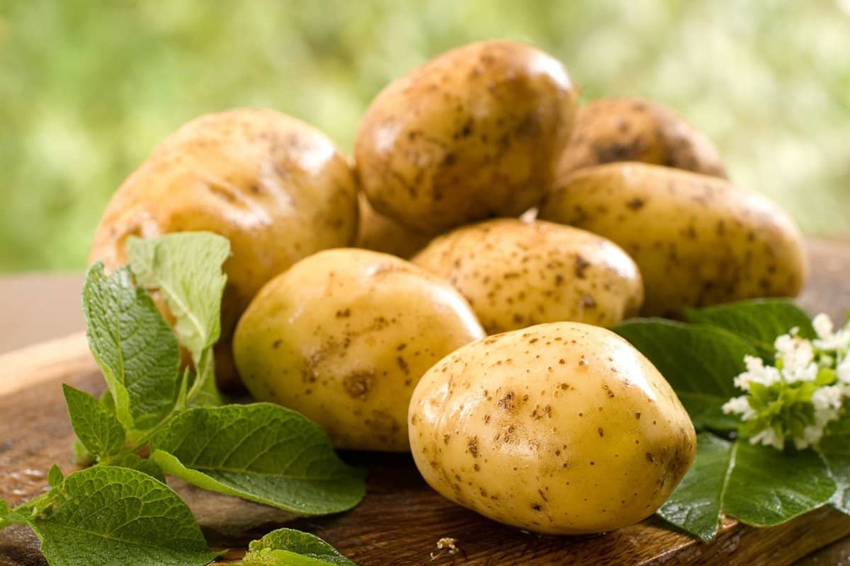 raw potato calories