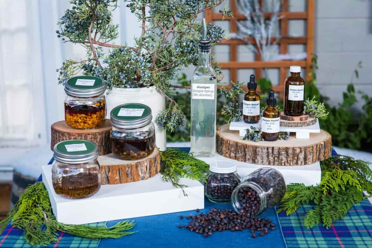 juniper berry extract benefits