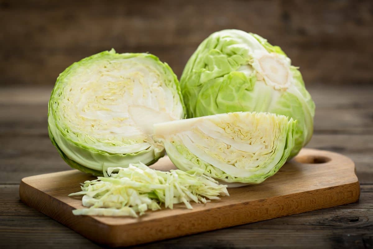 green cabbage nutrition