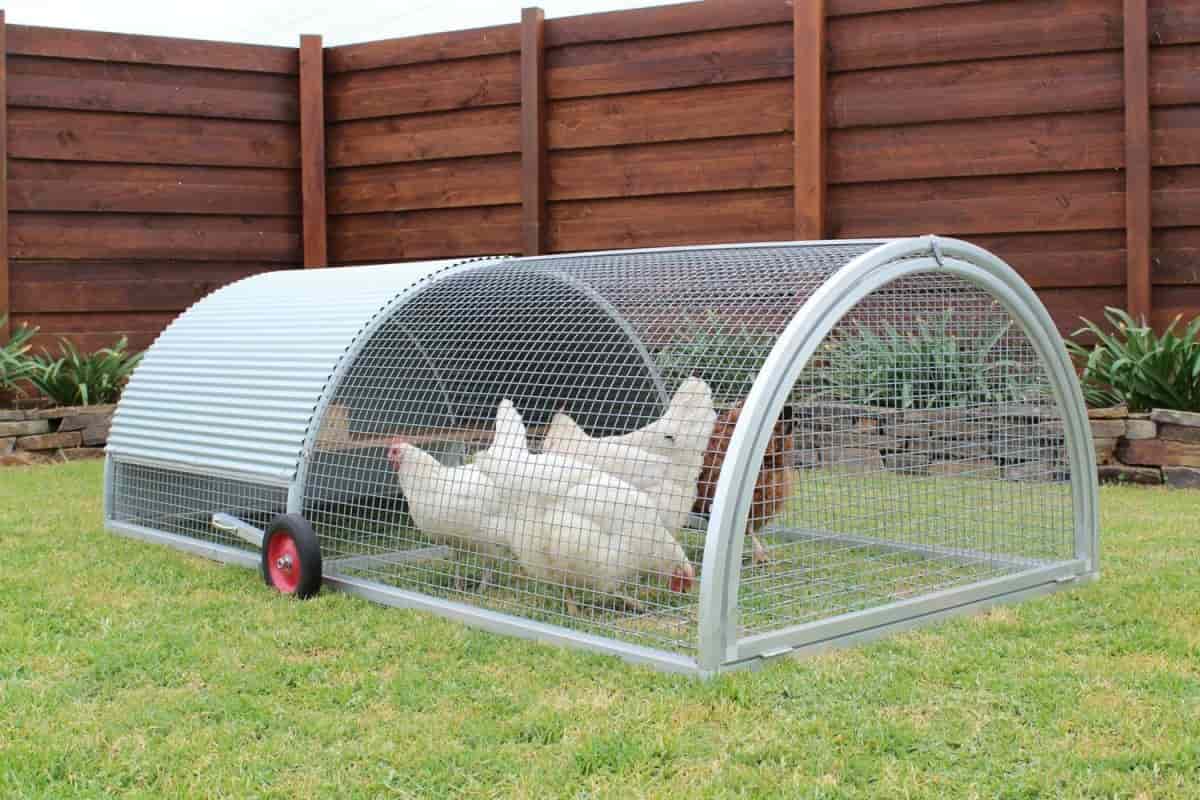 metal chicken mesh