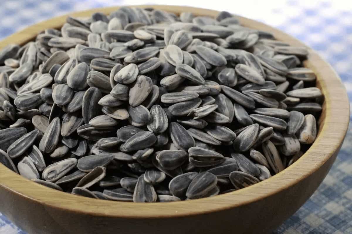 sunflower seeds nutrition