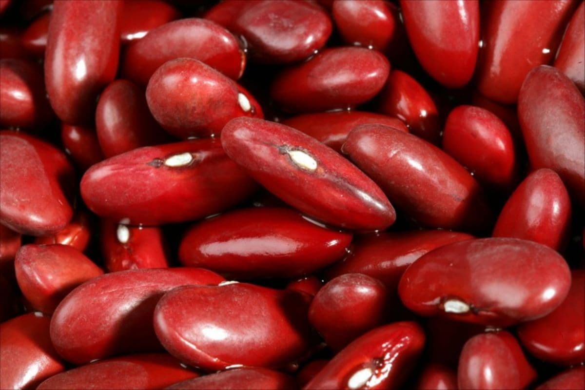 Dried Red Kidney Beans