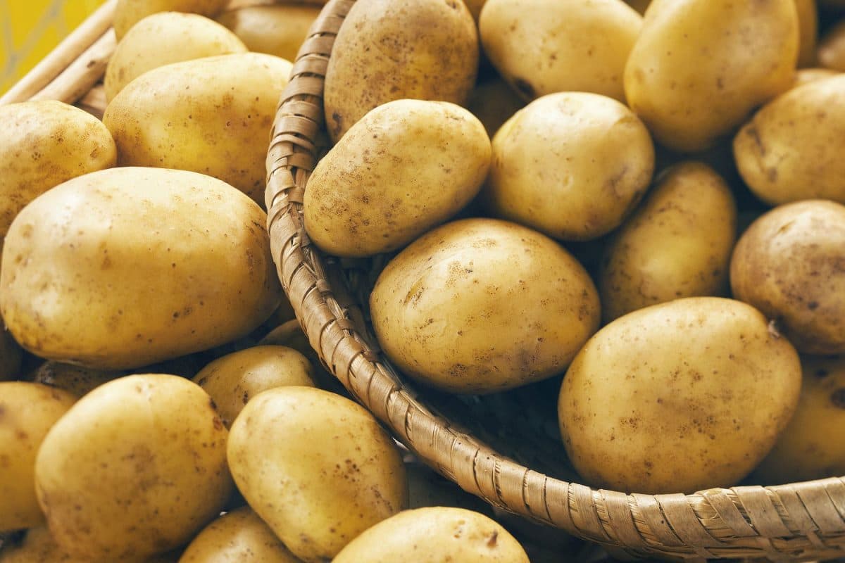 kolkata potato
