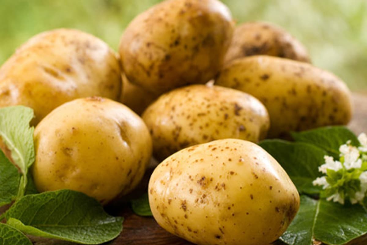 baked potato calories