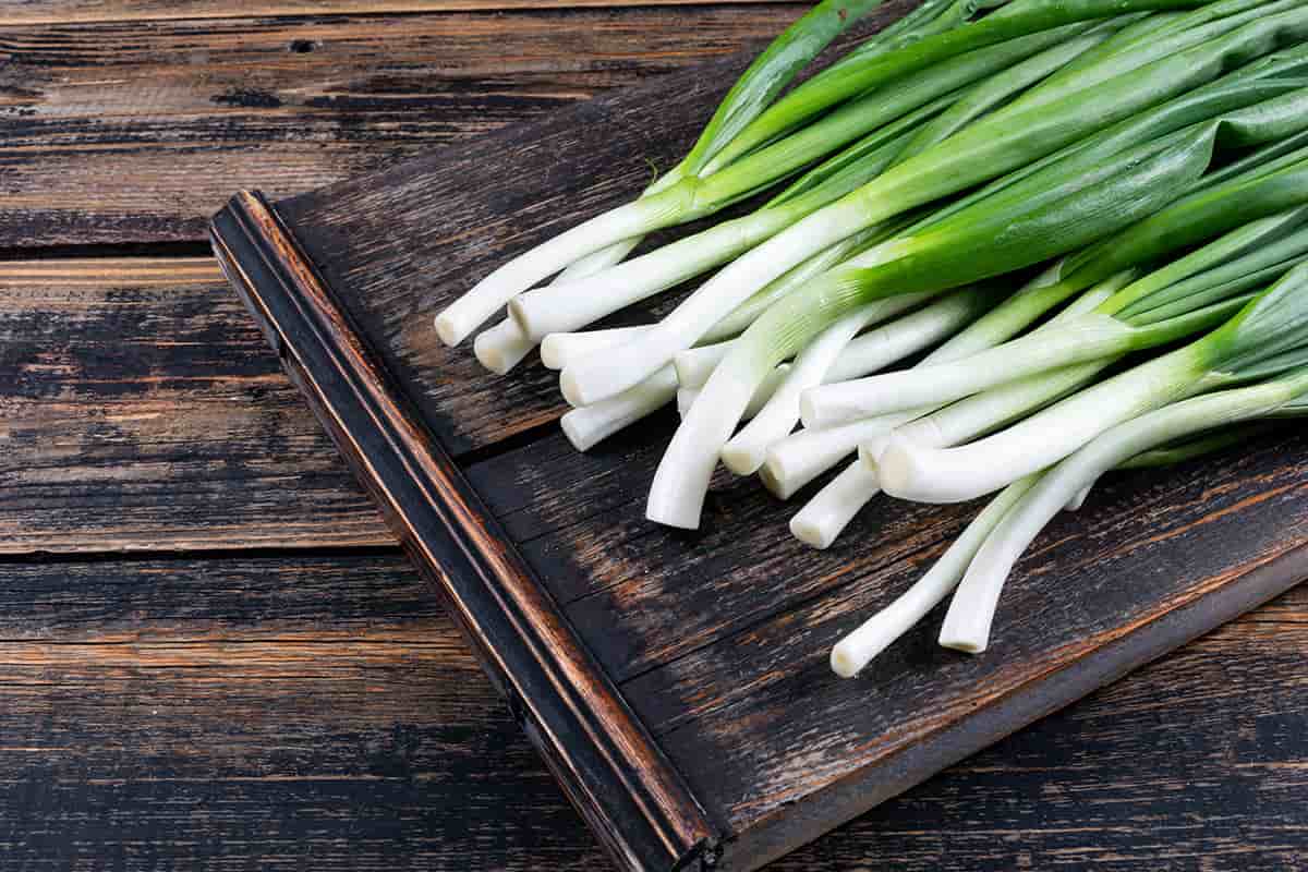 spring onion meaning