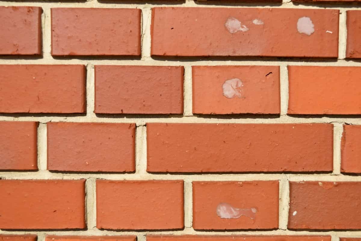 Cement Brick 