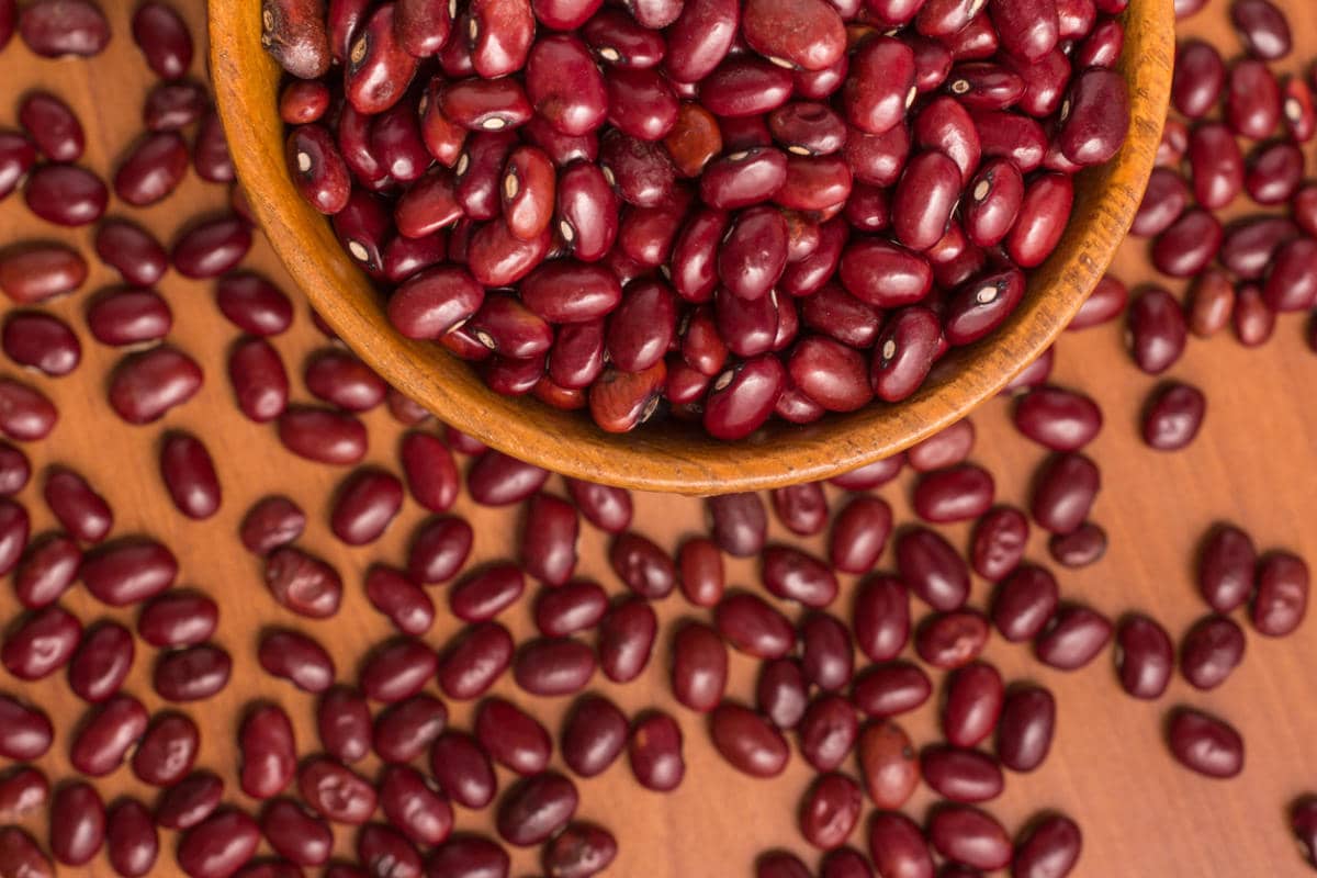 dried red kidney beans nutrition