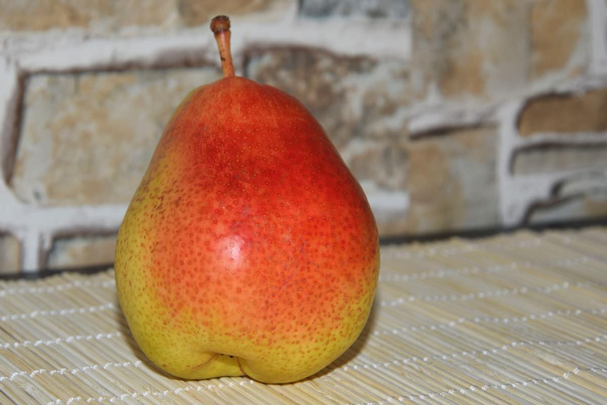 ornamental pear