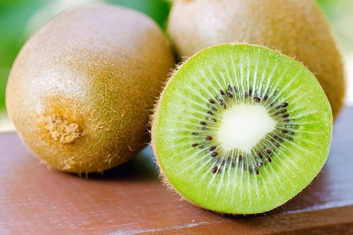Kiwi Fruit (Chinese Gooseberry) Green Golden Red Colors Soft Texture ...