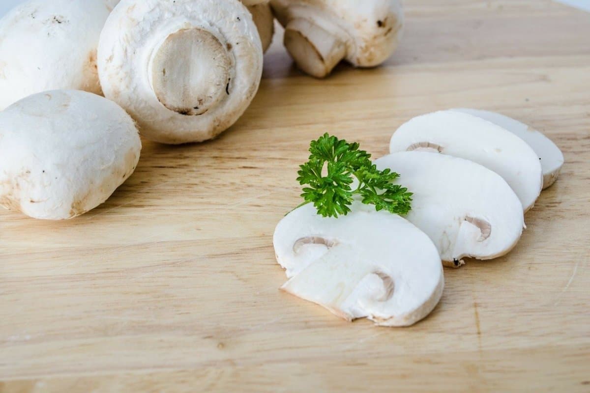 white button mushroom