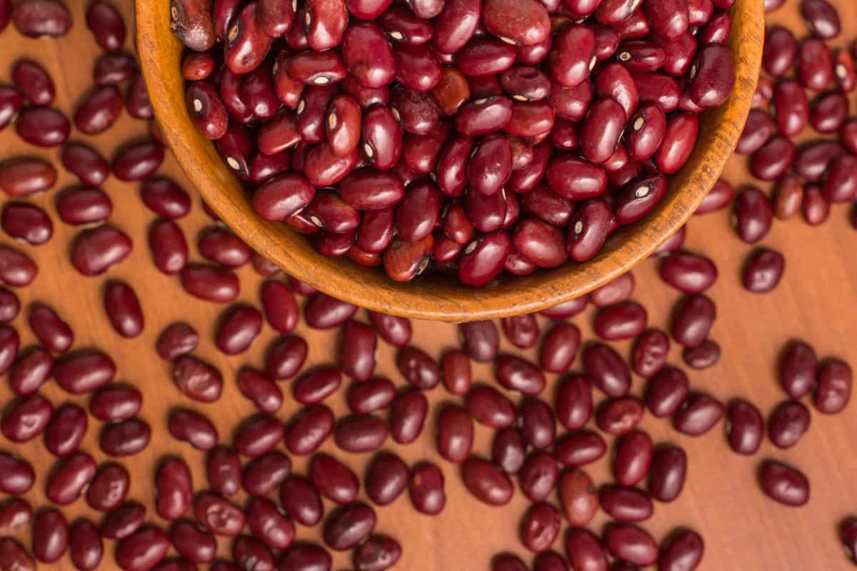 dark red beans