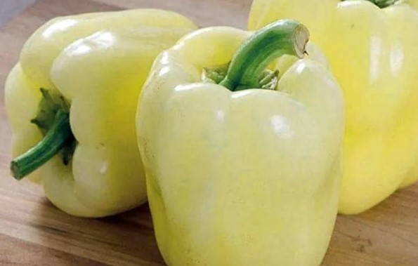 white bell pepper recipes