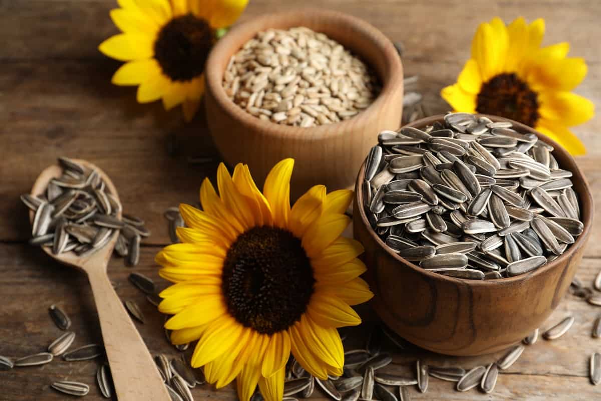 unsalted sunflower seeds