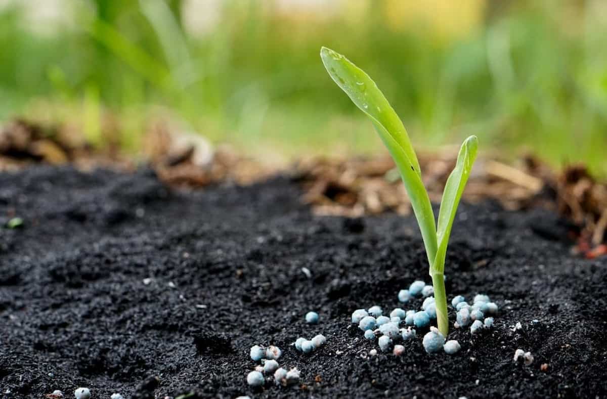 biovita fertilizer sl