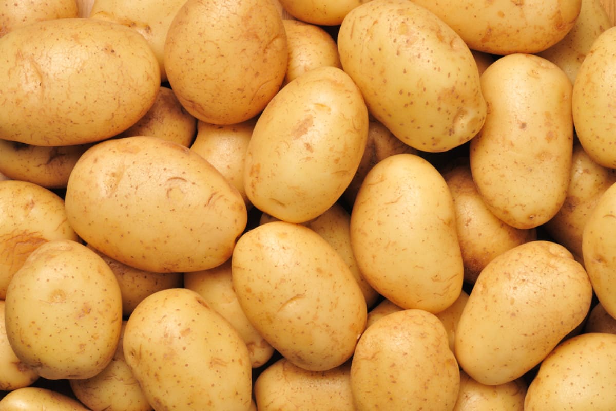 fresh potato gnocchi