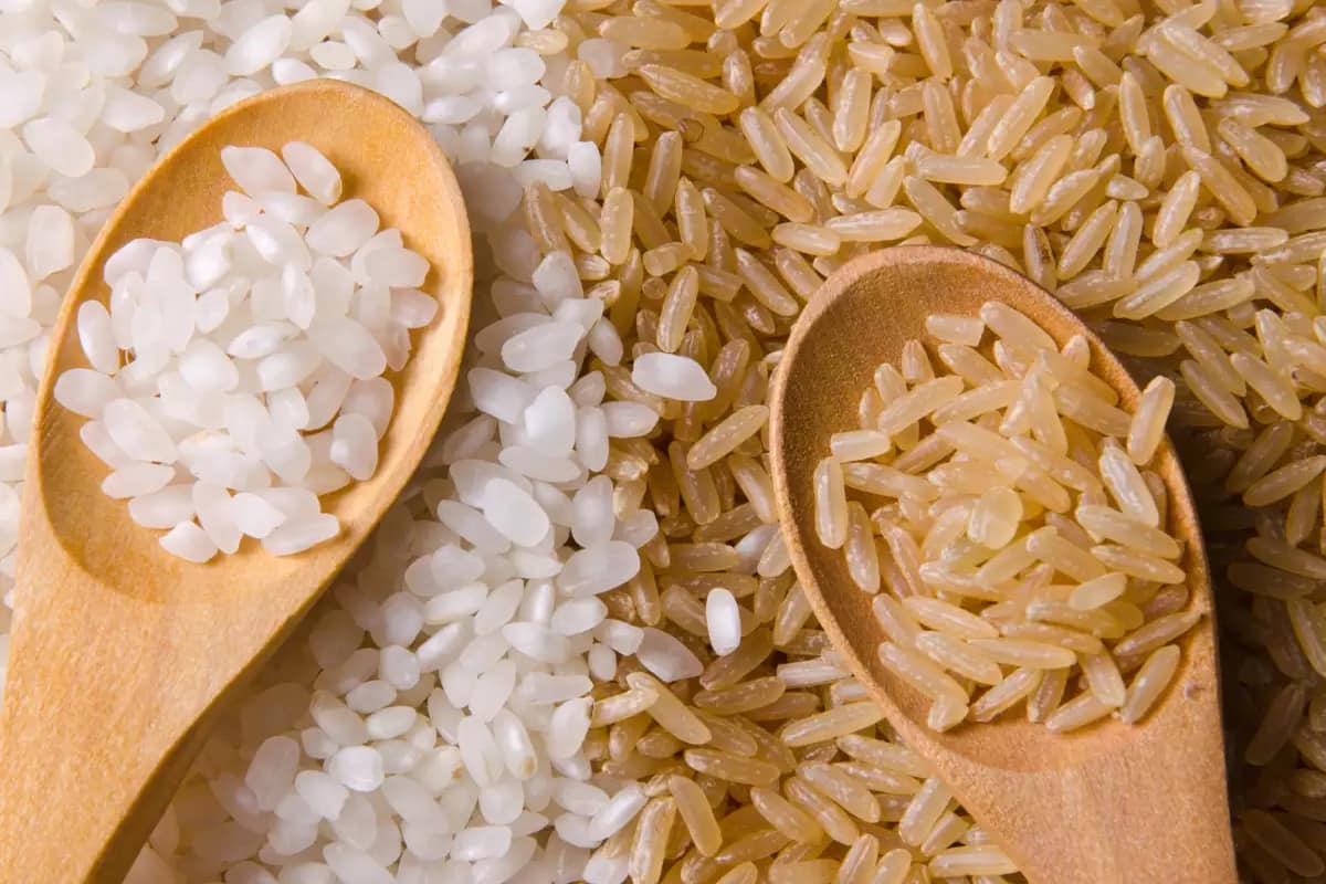 white rice brown rice