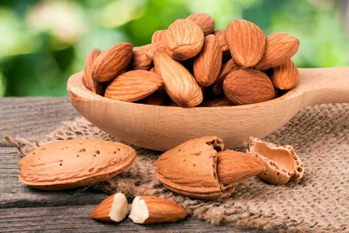 almond nutrition