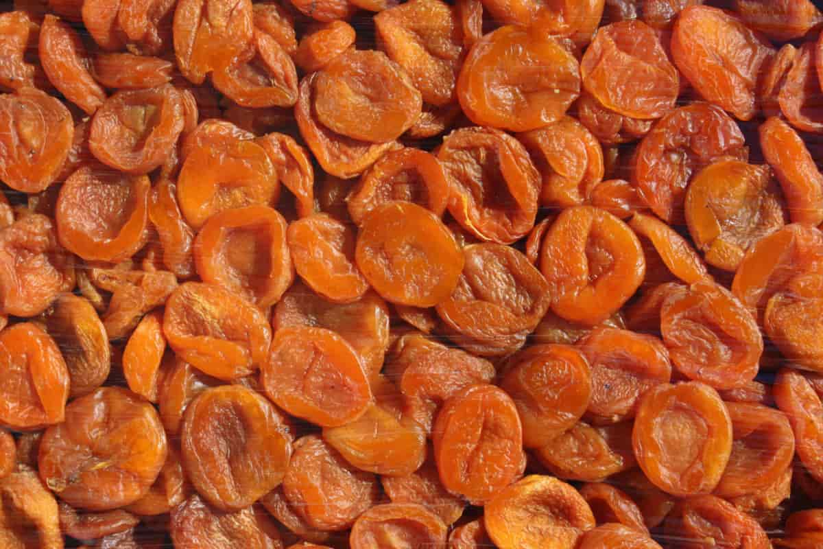  Apricots