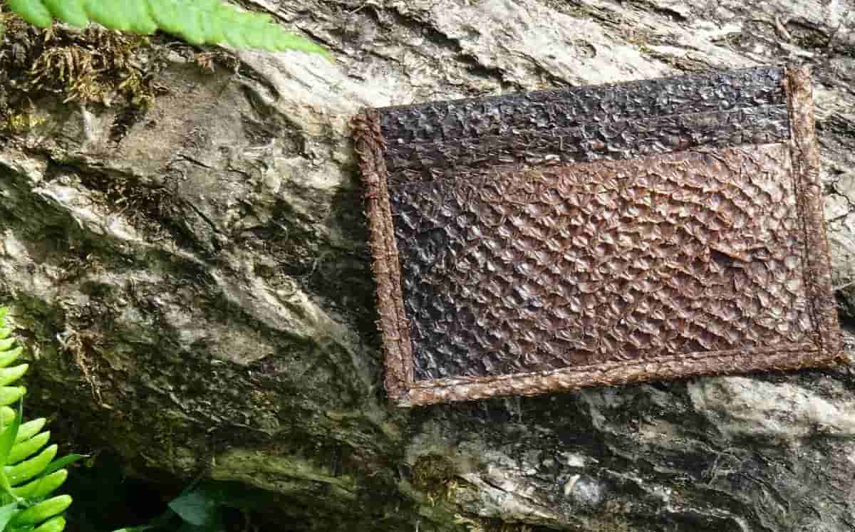 fish leather wallet