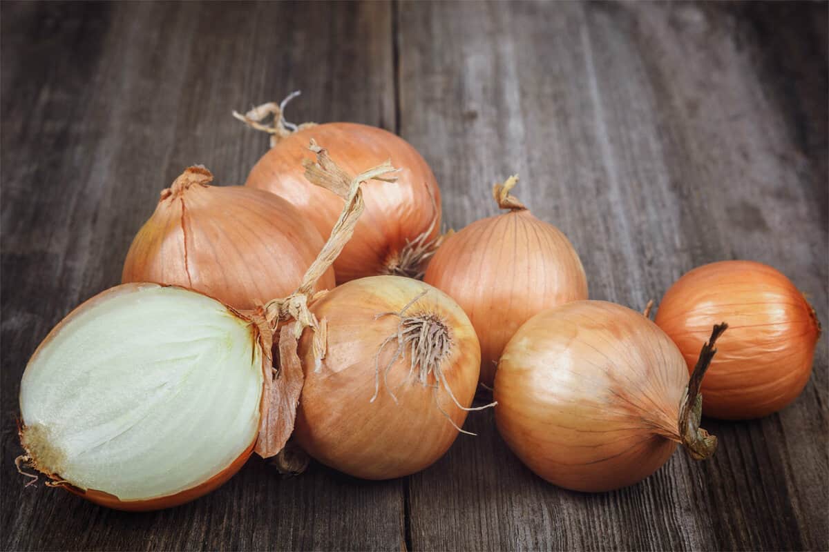 onion benefits for women