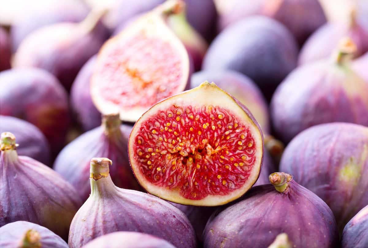 fresh figs for babies