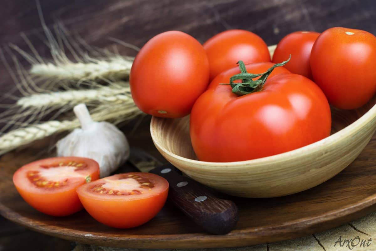 nashik tomato news