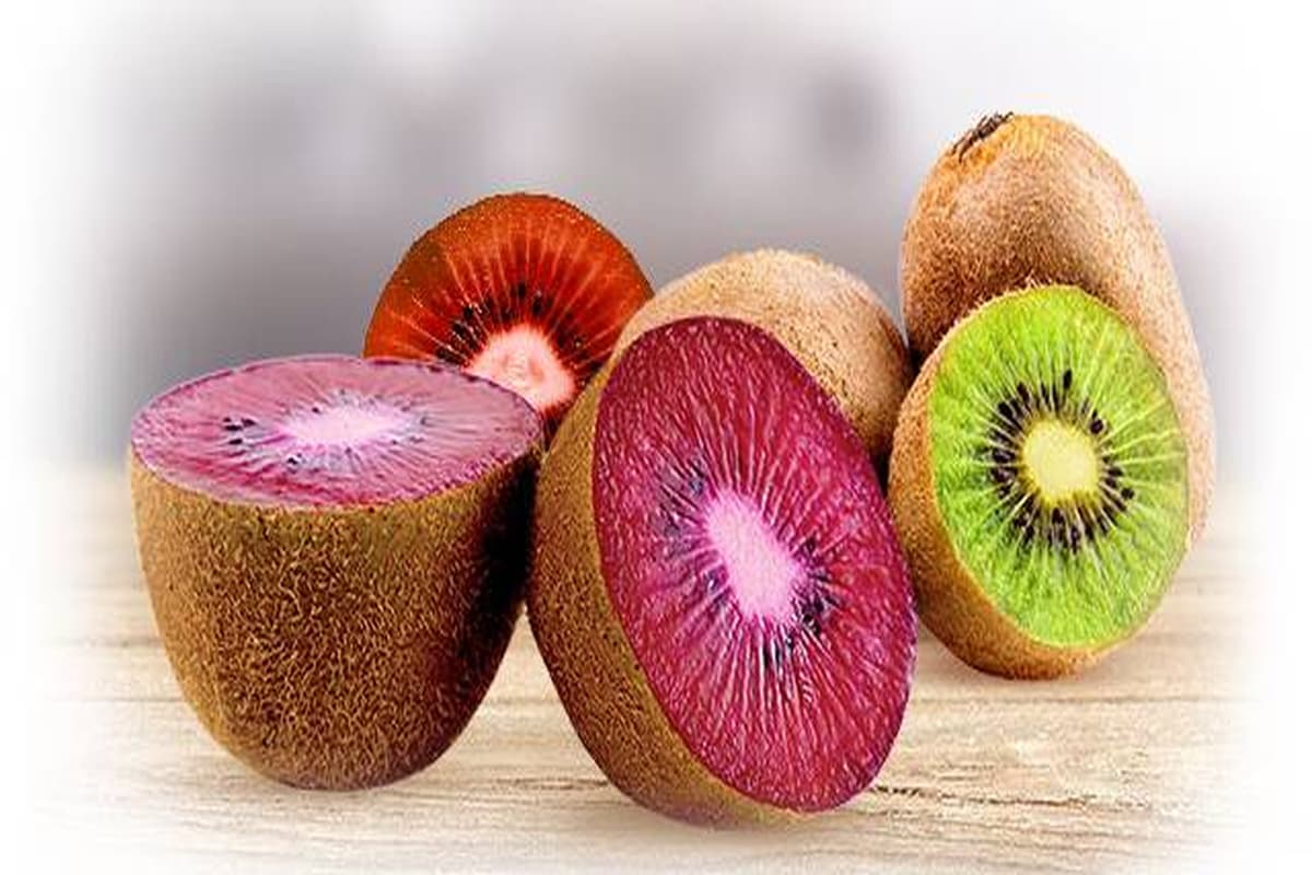 Purple Kiwi Fruit