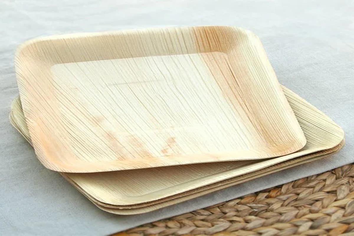 wooden disposable plates bulk