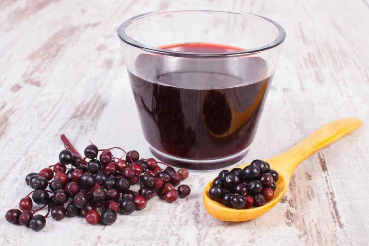 bilberry fruit extract capsules