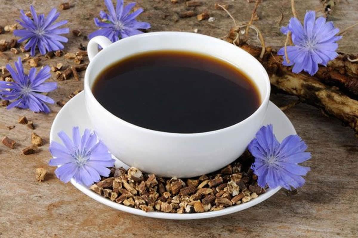 Chicory Root Extract 