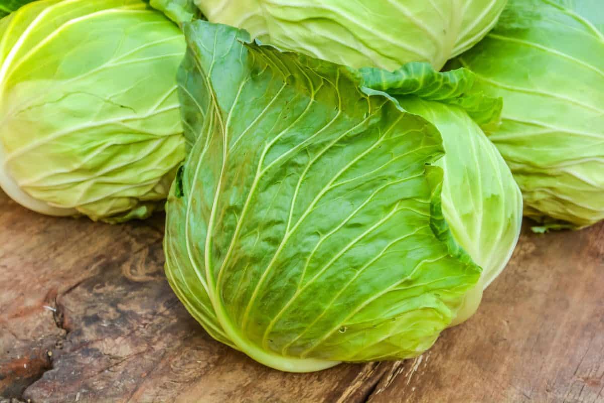 braised napa cabbage