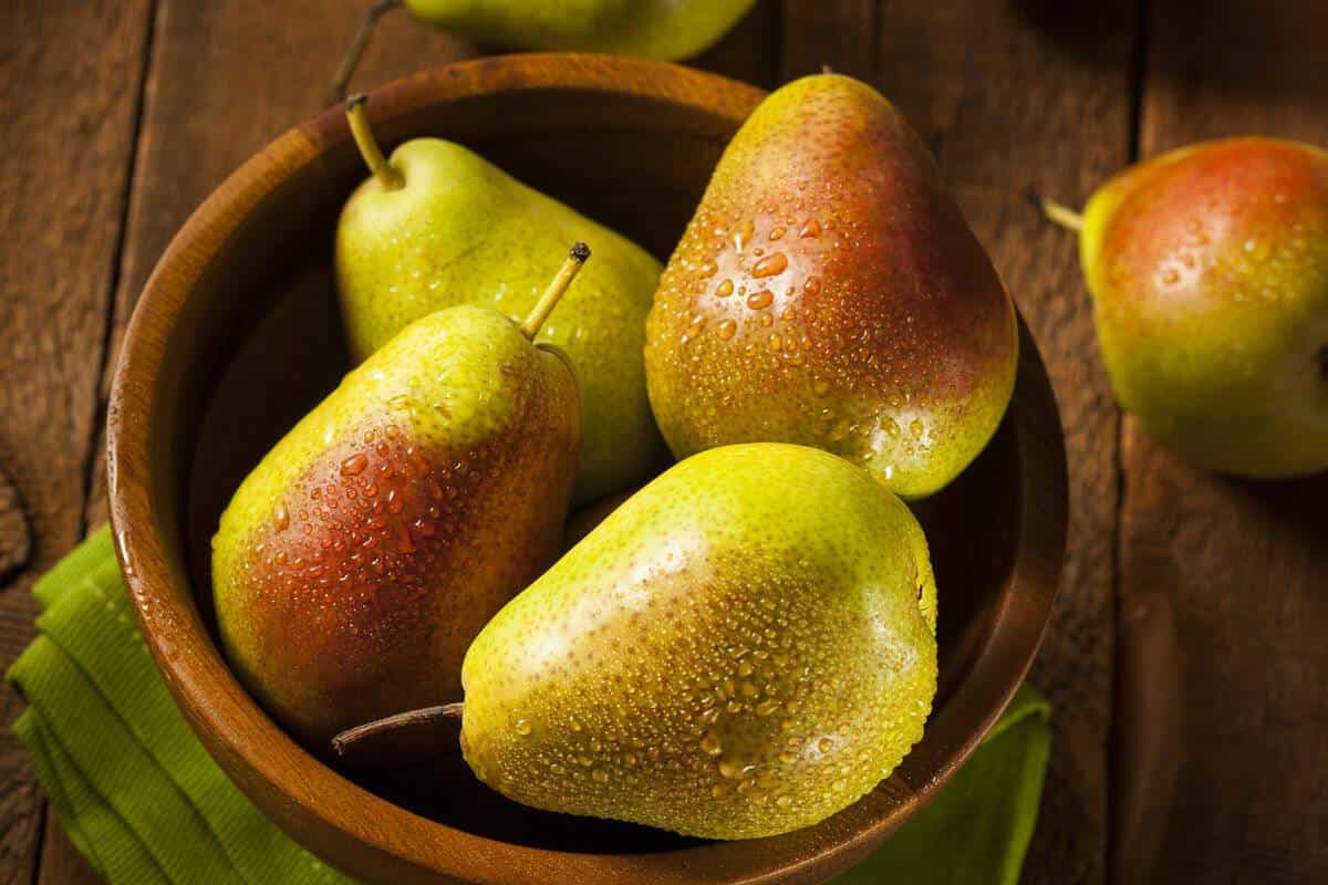 pear season in india