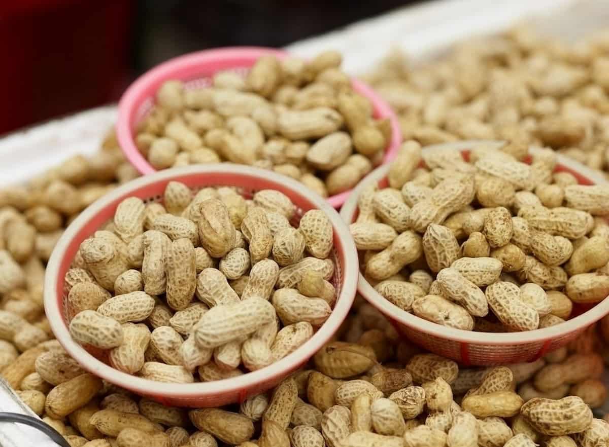 raw peanut in tamil