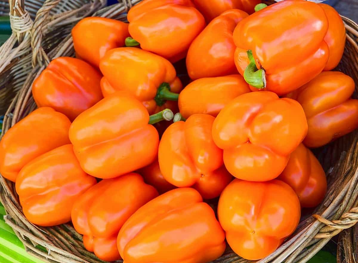 bell pepper for cooking