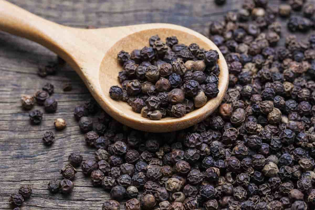 Kerala Pepper rate