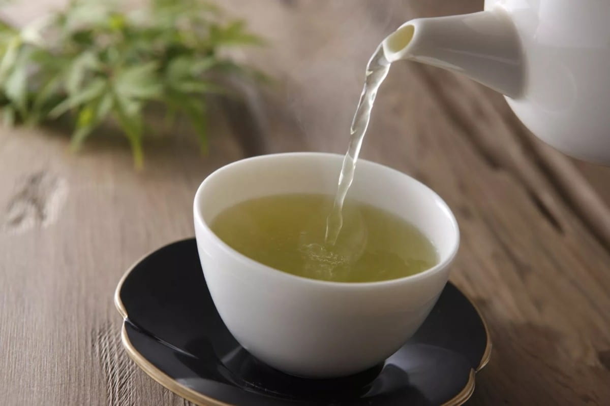 green tea organic