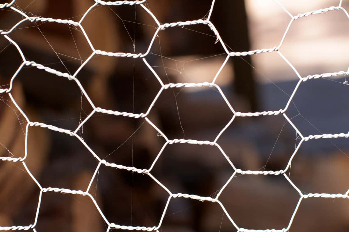 chain link mesh fabric