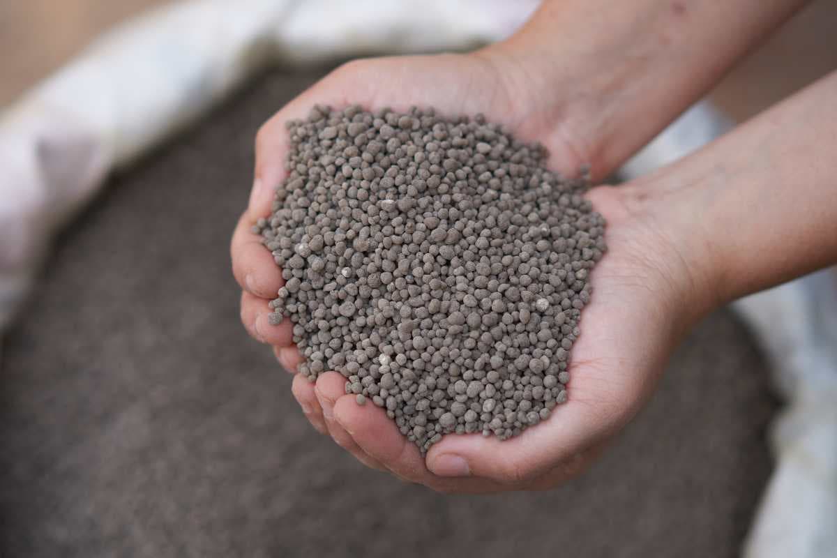 phosphate fertilizer Lowes