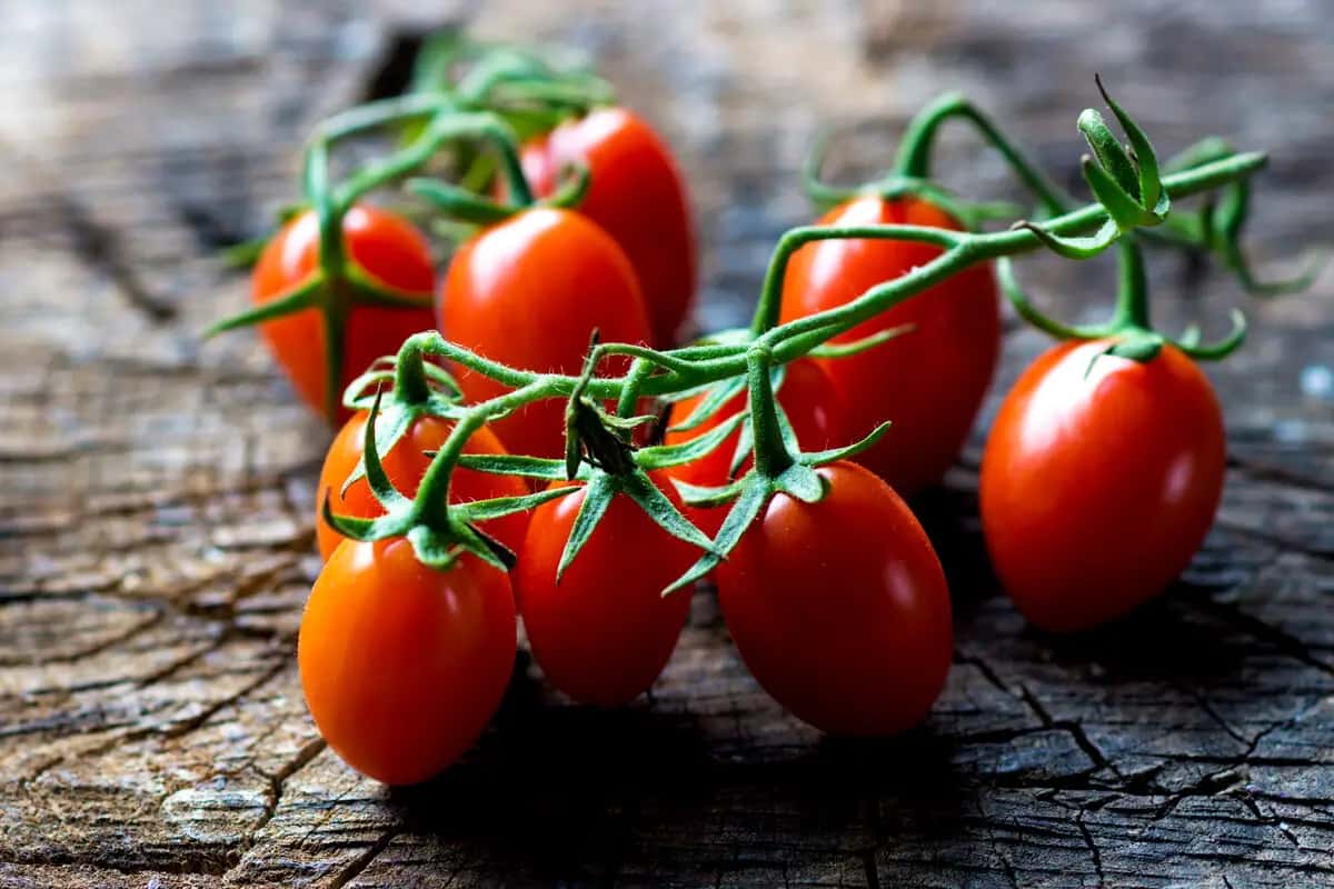 cherry tomato calories